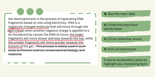 BUCK close reading strategy